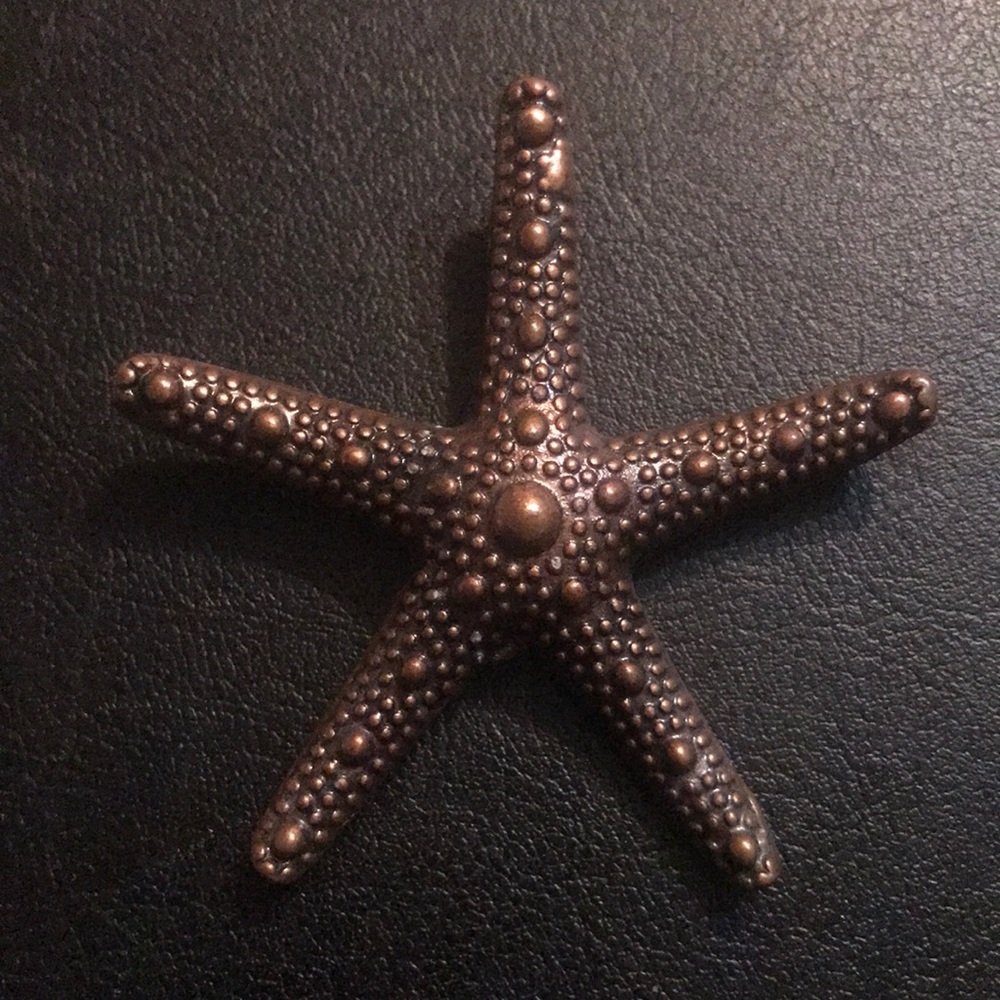 Bronze Starfish  ..pendant